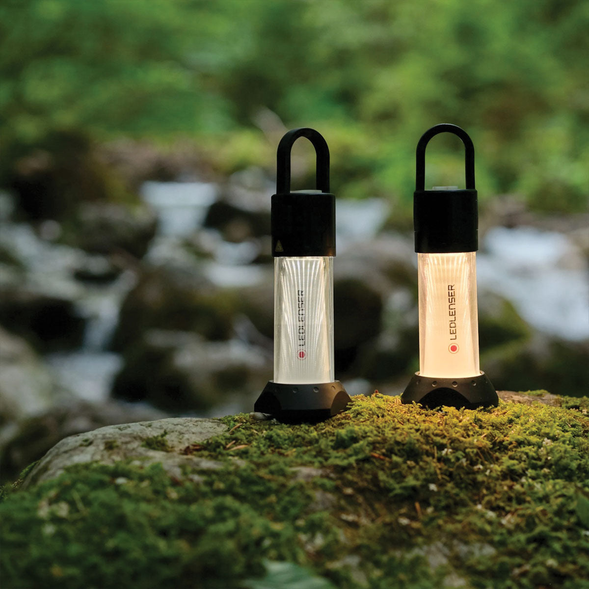 Ledlenser ML6 Lantern Warm Light Rechargeable with Box Tactical Distributors Ltd New Zealand