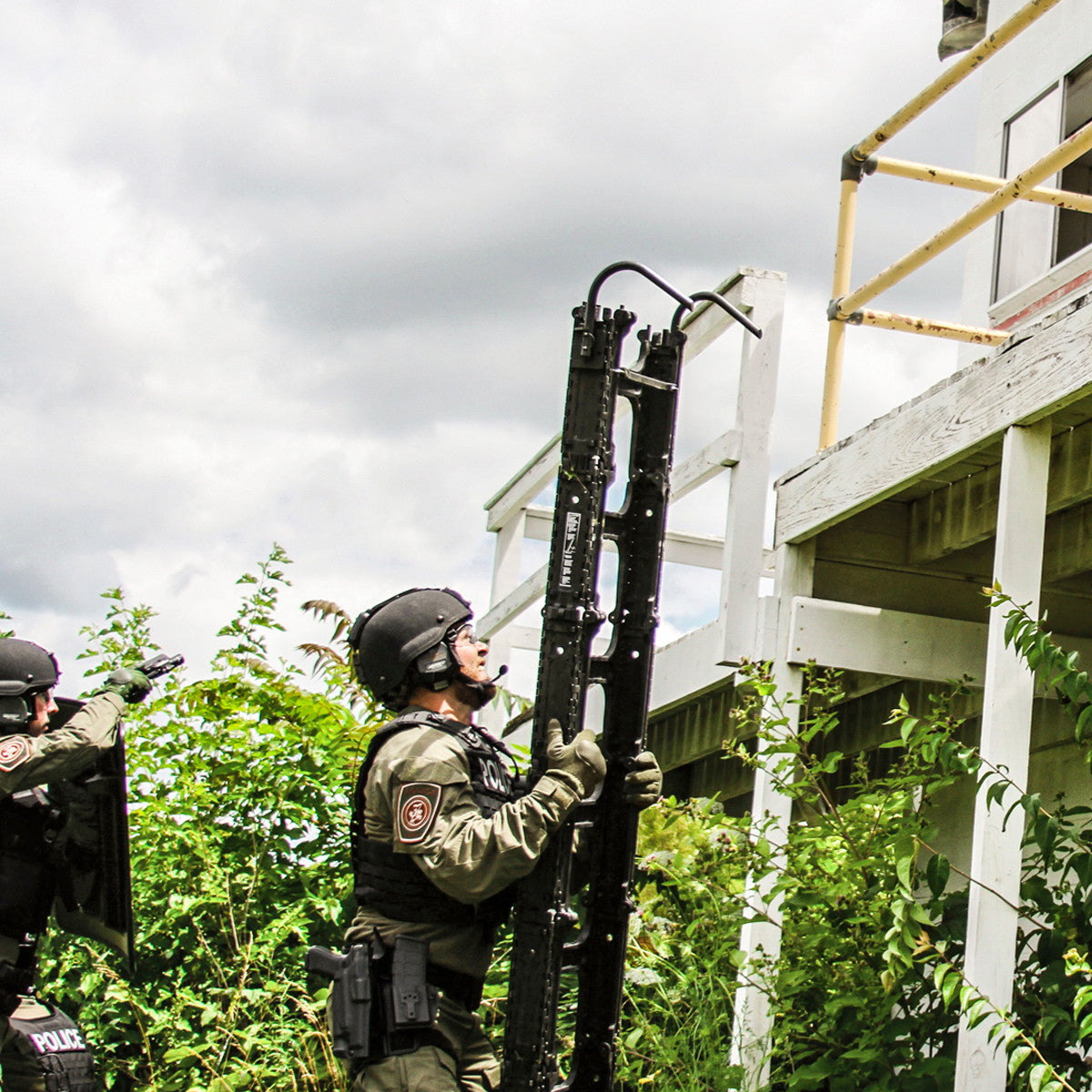 ProTech Portal Ladder