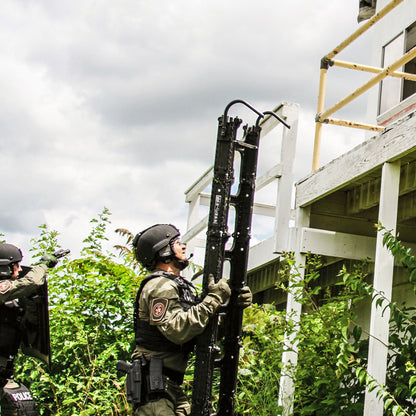 ProTech Portal Ladder