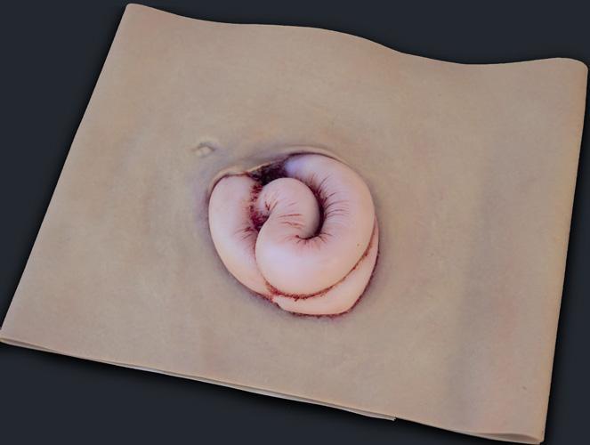 Wearable Wounds Evisceration Tactical Distributors Ltd New Zealand